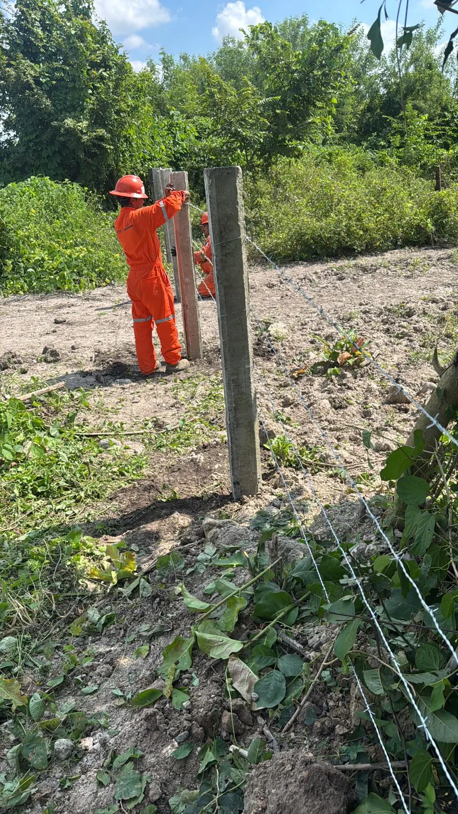Cercado perimetral